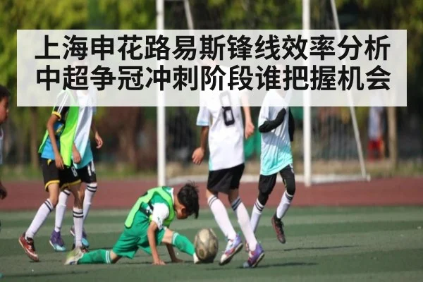 上海申花路易斯锋线效率分析中超争冠冲刺阶段谁把握机会